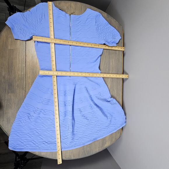 Belle Badgley Mischka Periwinkle Textured Fit & Flare Short Sleeve Dress Large - Picture 6 of 6